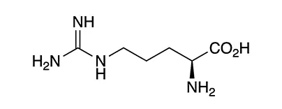 아르기닌(Arginine)