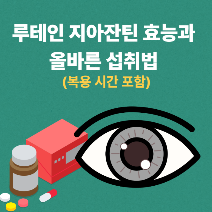 루테인 지아잔틴 효능과 올바른 섭취법
