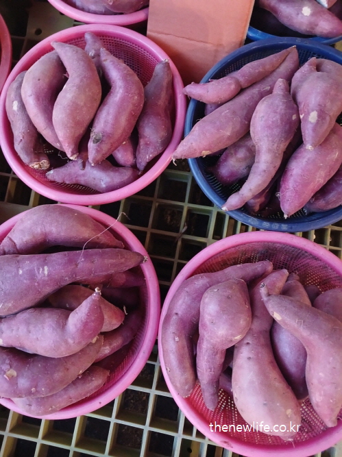 Sweet potatoes for flat belly/똥배 없애는 식단의 주된 탄수화물 고구마