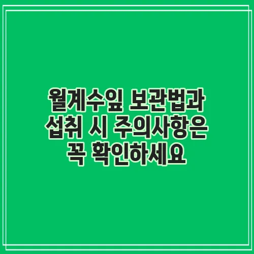 월계수잎 보관법과 섭취 시 주의사항은 꼭 확인하세요