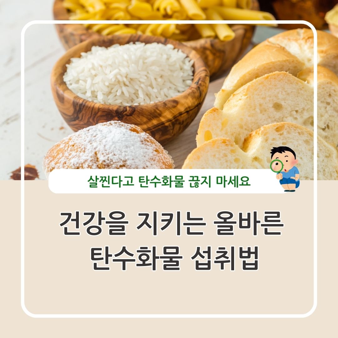 올바른 탄수화물 섭취 방법 정리