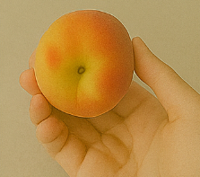 개복숭아효소의 효능