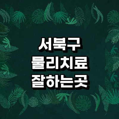 천안 서북구 정형외과