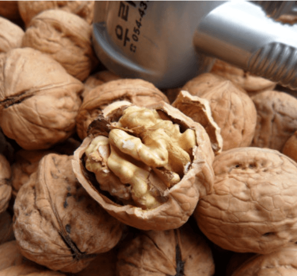 생방송오늘저녁 김천 호두농장