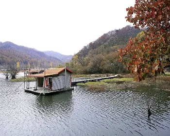 문광저수지 은행나무길_21