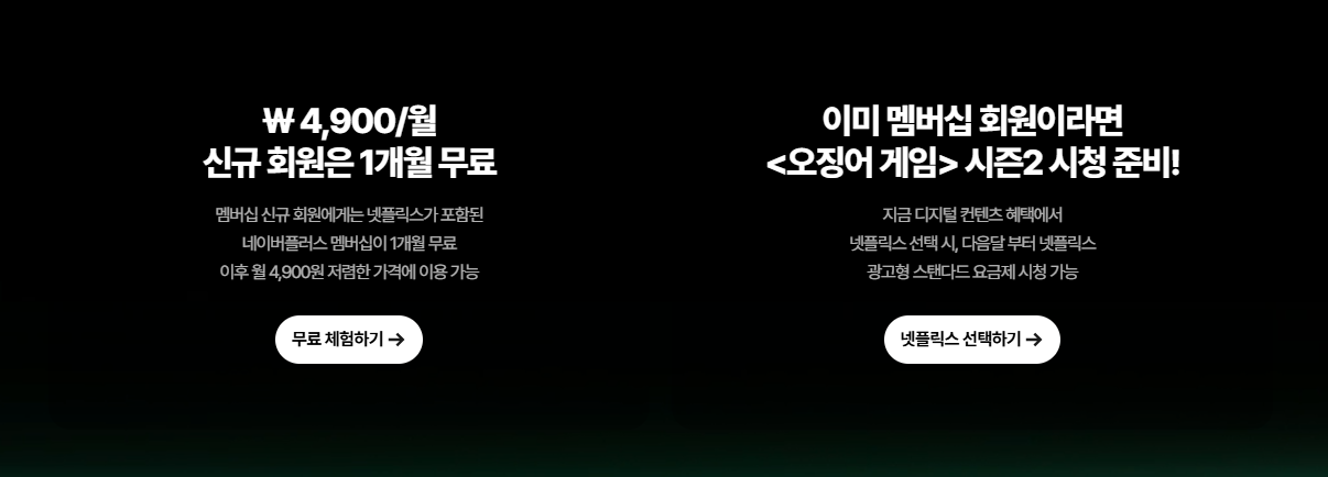 넷플릭스 요금제 추천2