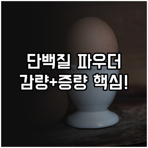체중 감량과 근육 증량을 위한 단백질..