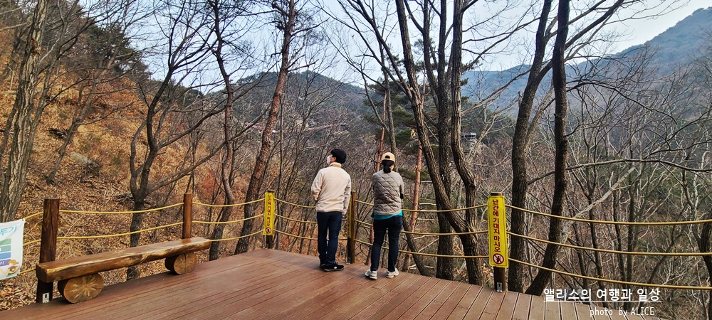 거창 Y 자형 출렁다리 (입장권 현장구매가능) 경남 가볼만한곳
