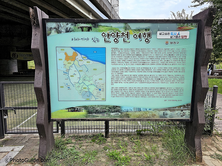 코스모스