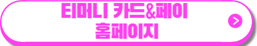 기후동행카드 경기도