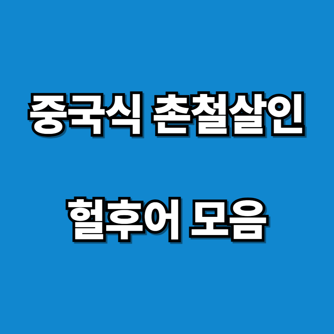 중국식 촌철살인 헐후어 모음