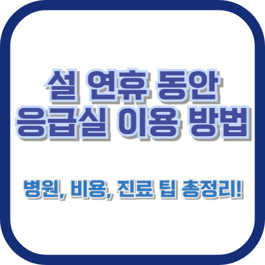 설 연휴 동안 응급실 이용 방법 – 병원, 비용, 진료 팁 총정리!