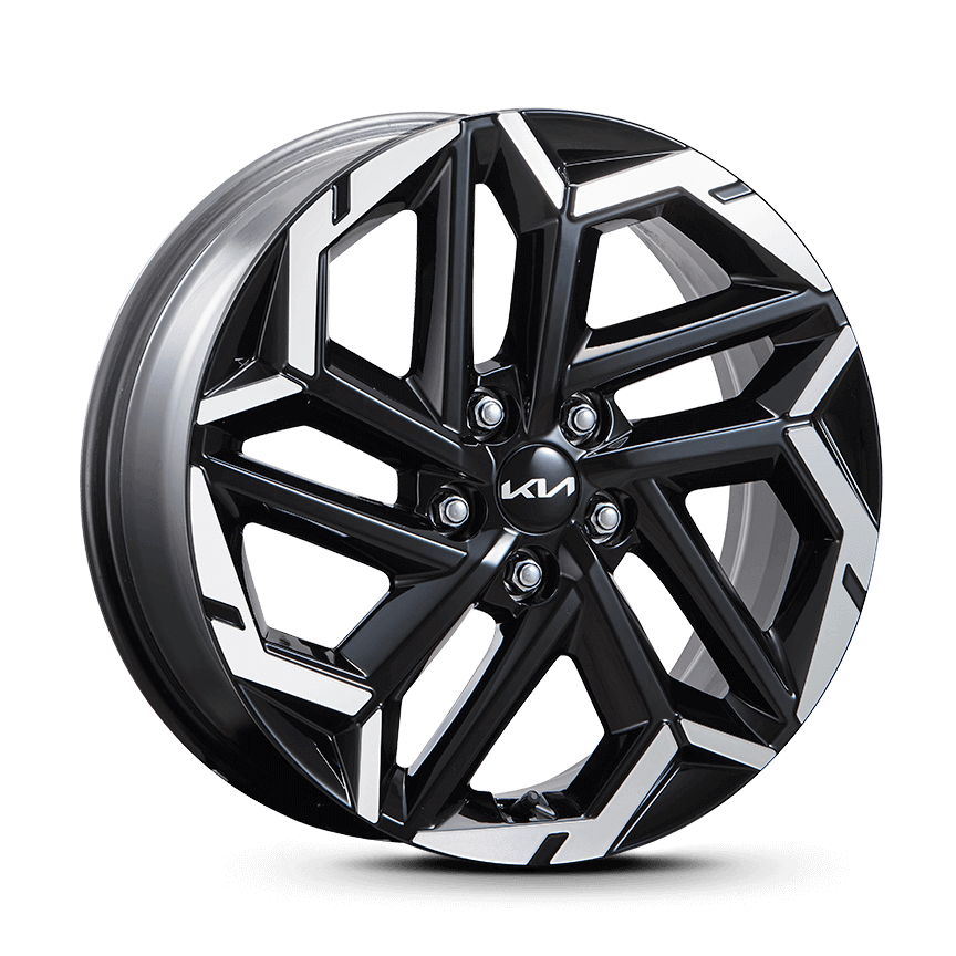 2024 기아 카니발 제원과 가격&#44; 2023 카니발과 비교 분석