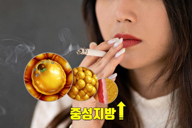 고지혈증 예방 전단계 치료 금연
