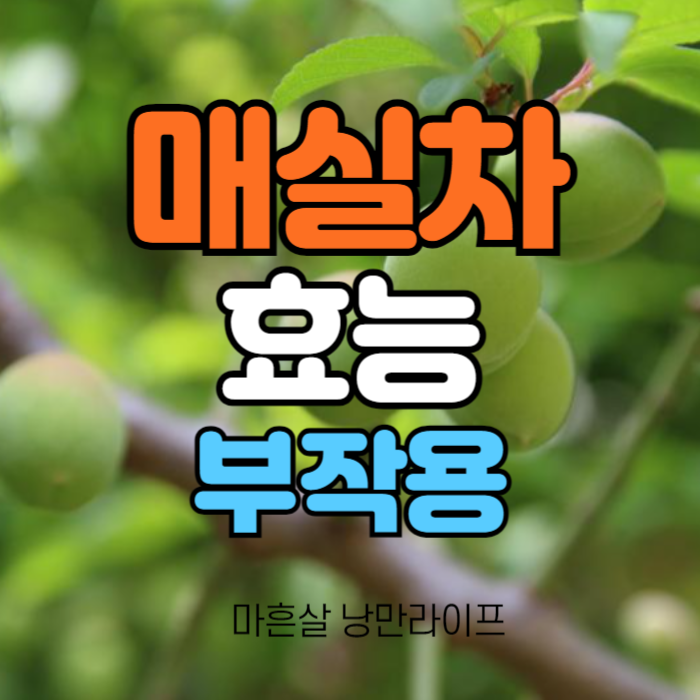 섬네일