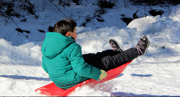 돔빙어 눈 패키지