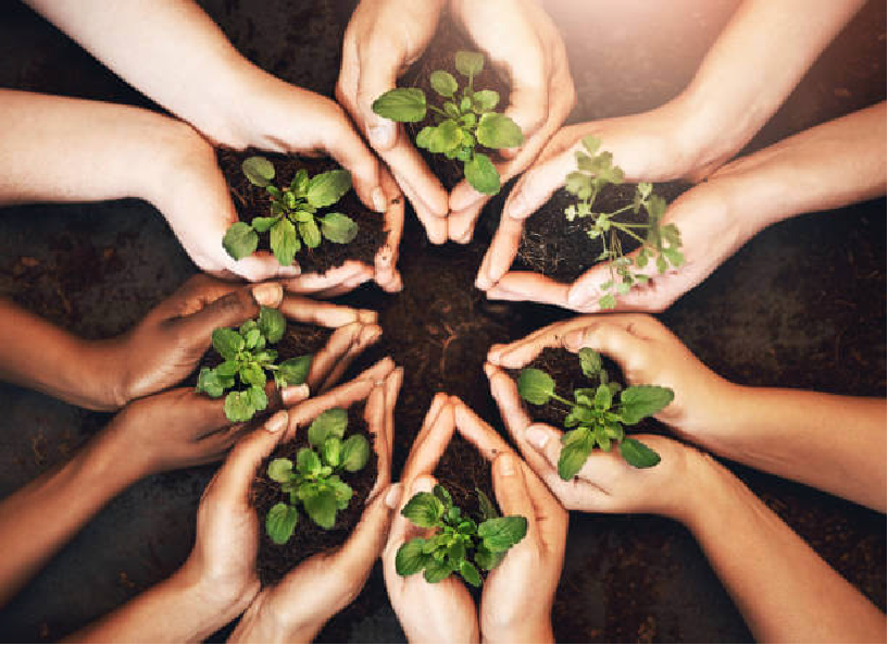 자연과 함께하는 삶: 마음을 정화하는 힐링 습관