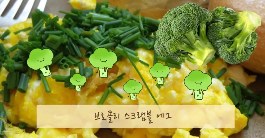 브로콜리 다이어트 레시피 BEST 5