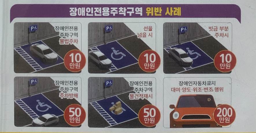 장애인 불법주차 유형