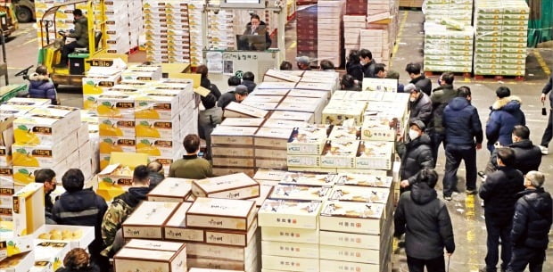 송파구 가락농수산물 도매시장