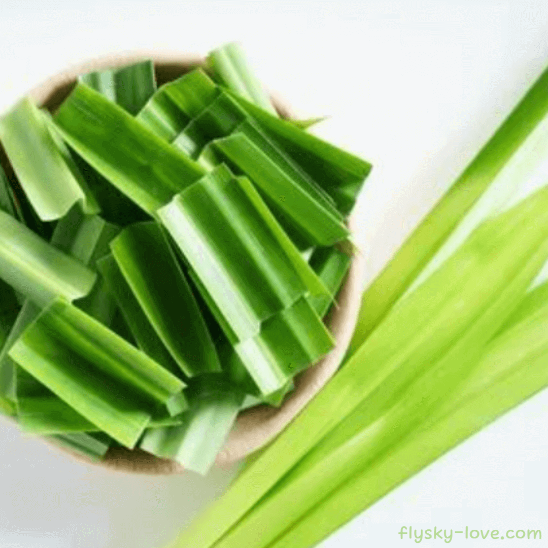 다양한 효능이 있는 판단잎