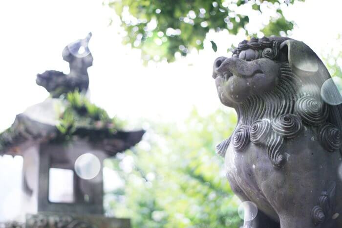 일본-자연경관-동물상