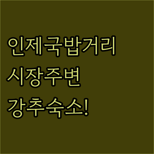 강원도 인제 실내 여행지 인제시장 국..