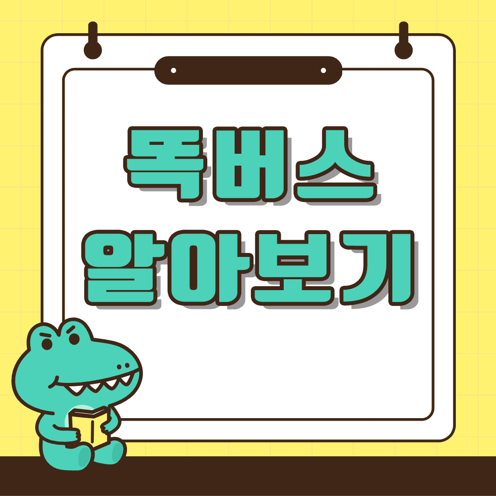 똑버스 알아보기