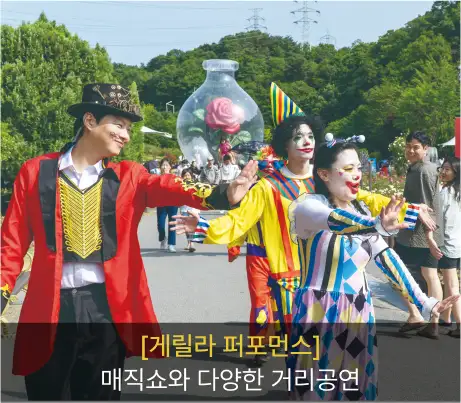 울산 장미축제
