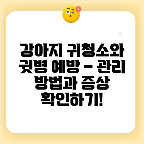 강아지 귀청소와 귓병 예방 – 관리 방법과 증상 확인하기!