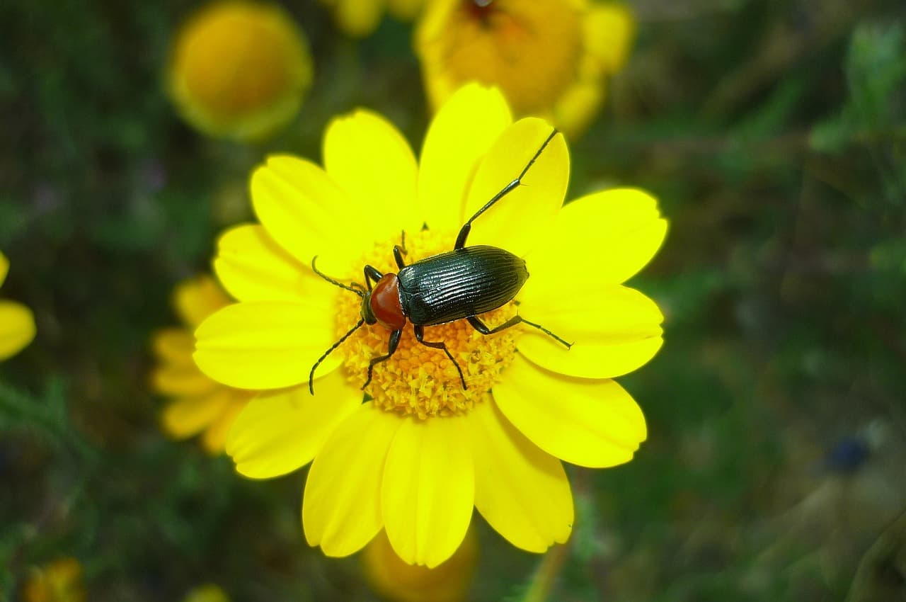 에어컨 필터 청소 및 관리법