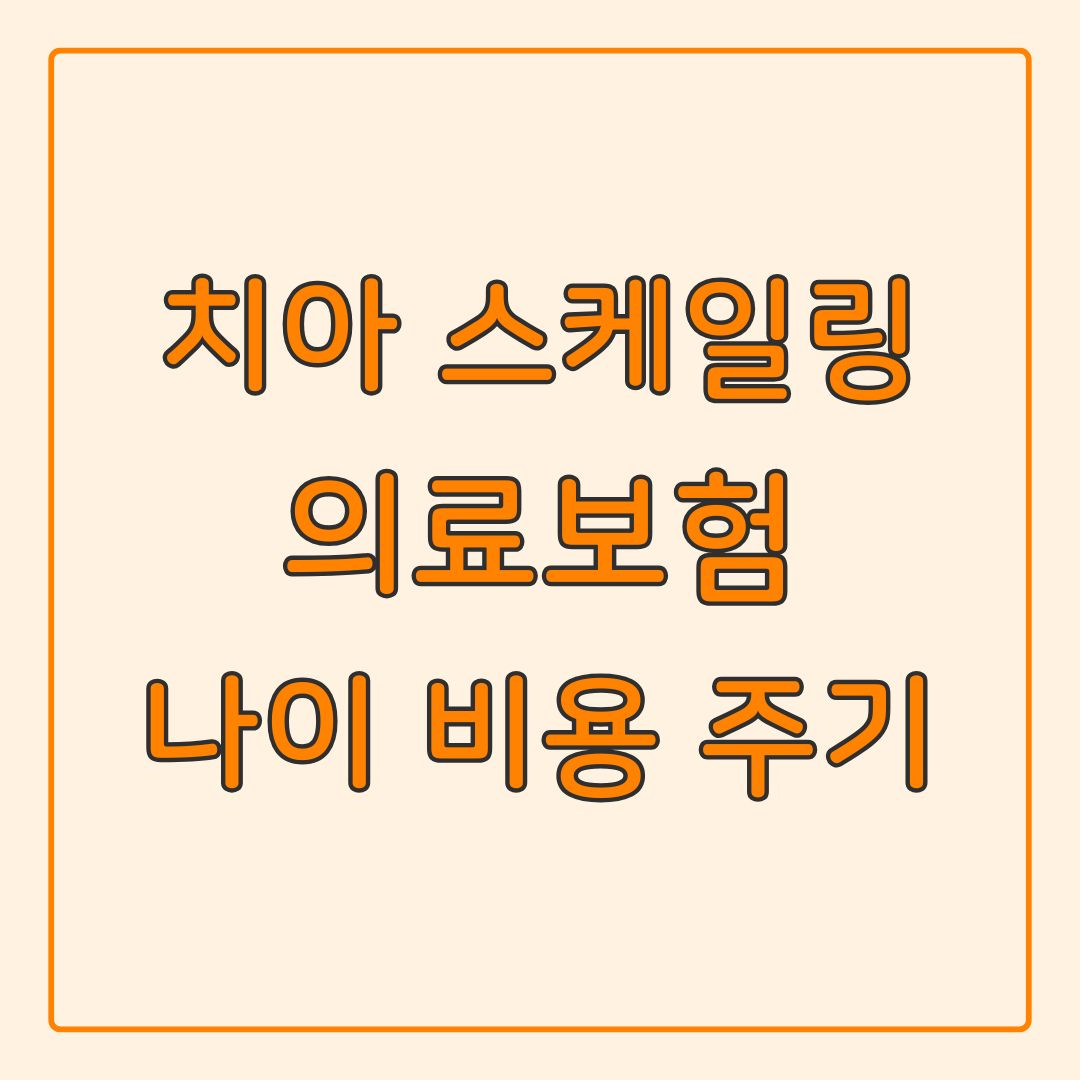 치아 스케일링 의료보험 나이 비용 기간 주의사항 총정리