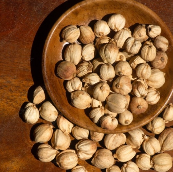 양춘사의 효능, 먹는 방법, 부작용