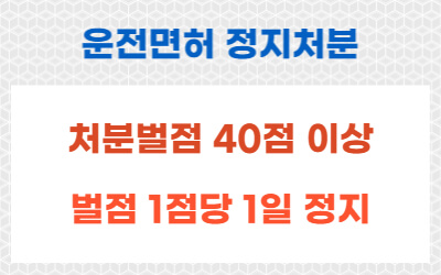 운전면허-정지처분