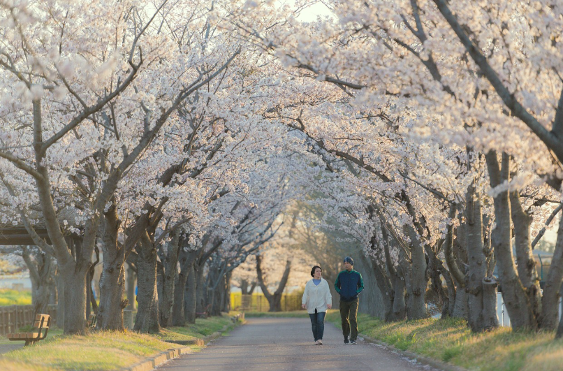 봄철 알레르기 증상, 검사 총정리