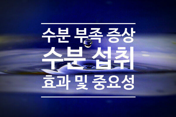 고지혈증 예방