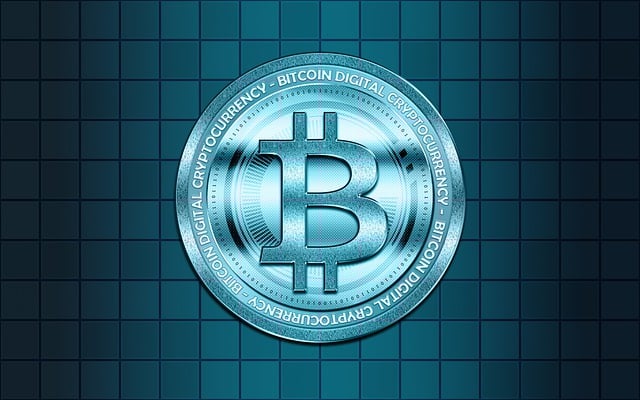 원화 스테이블 코인 발행방식,전망