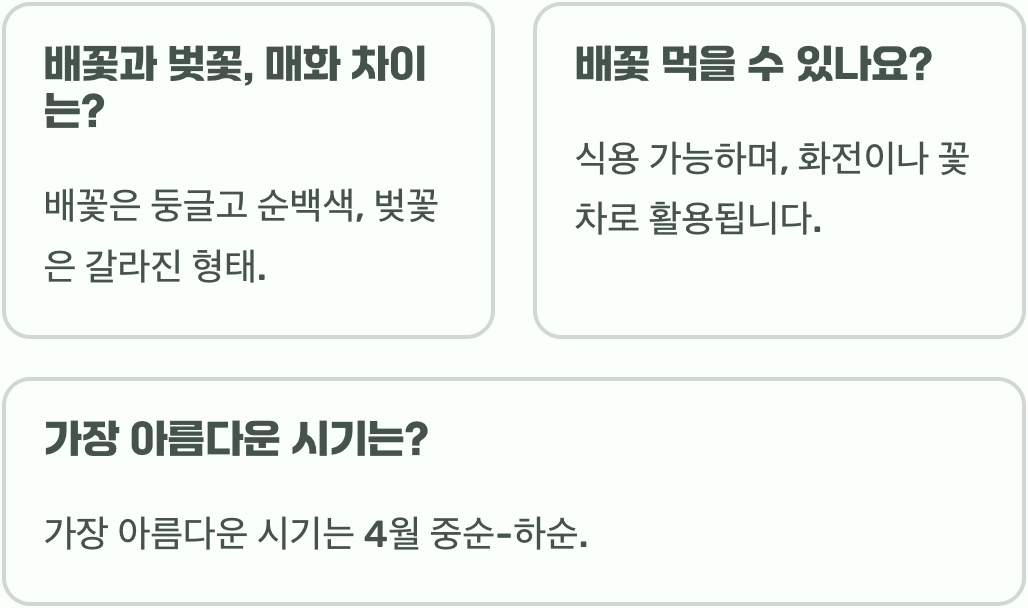 배꽃 꽃말 순결과 고결함을 담은 배꽃의 상징적 의미