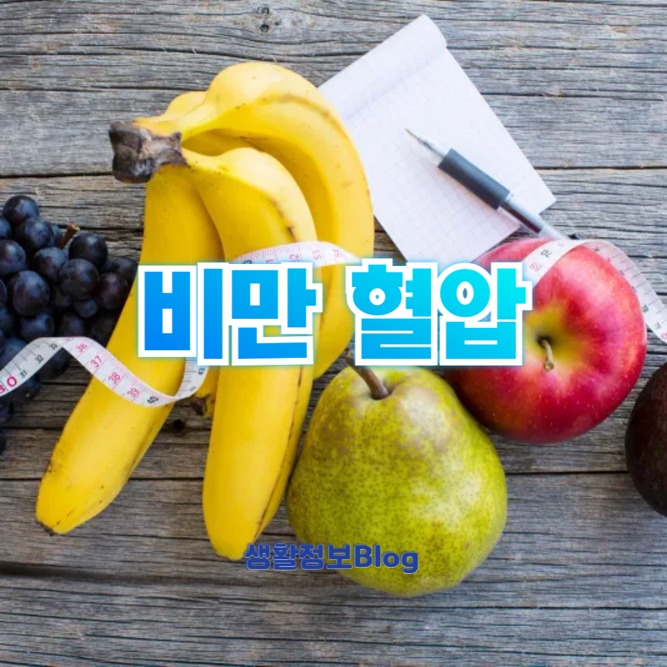 비만 혈압