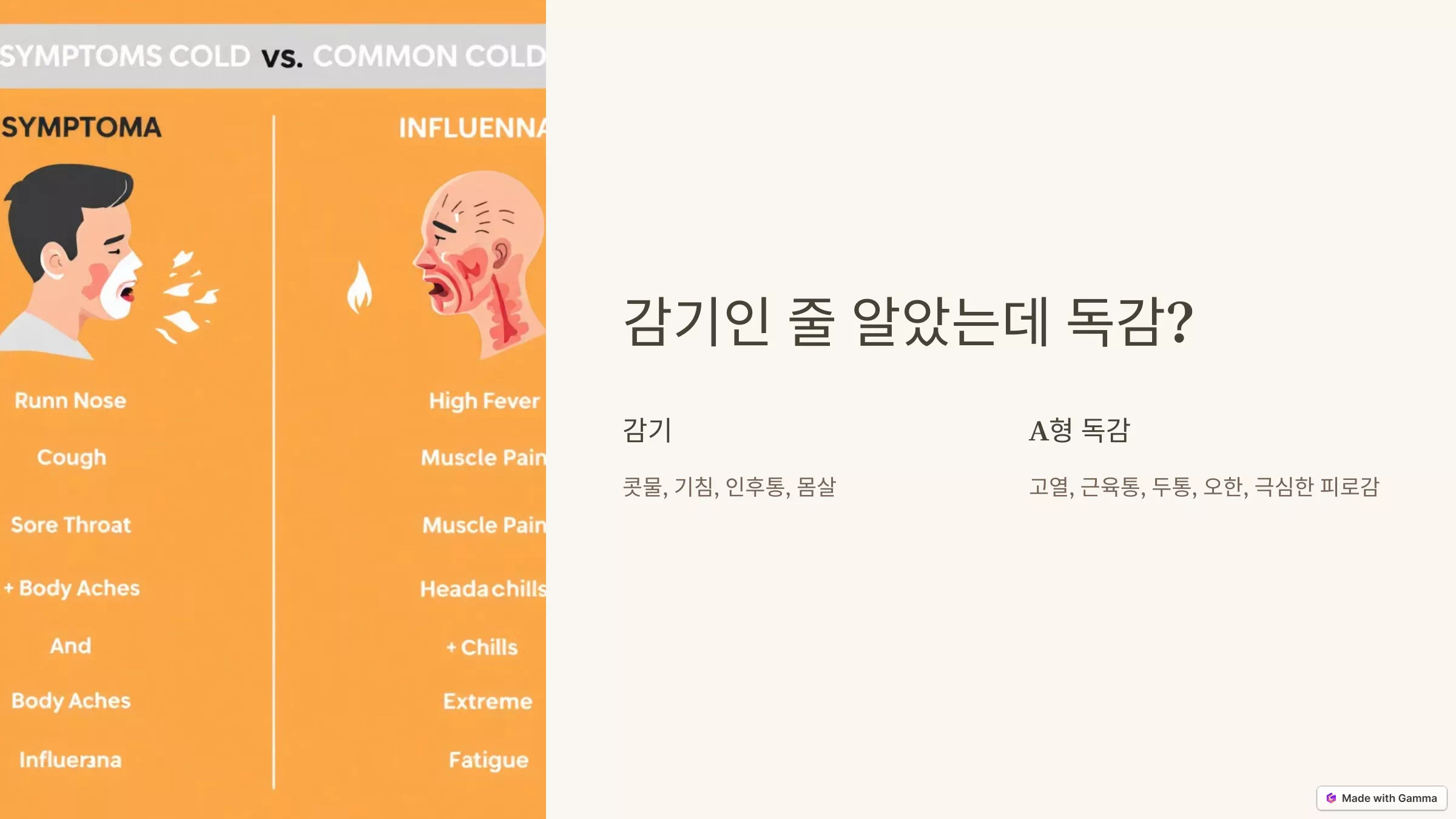 독감과 감기의 비교