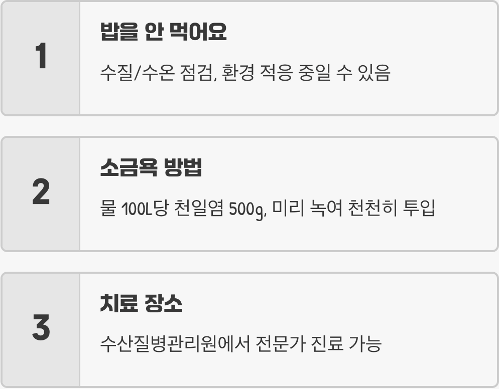 아로와나 대표 질병, 초기 증상과 대처법