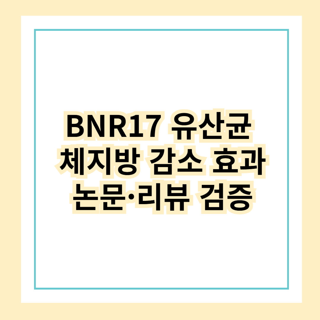 BNR17 유산균 : 체지방 감소 효과, 논문·리뷰로 검증해봤습니다