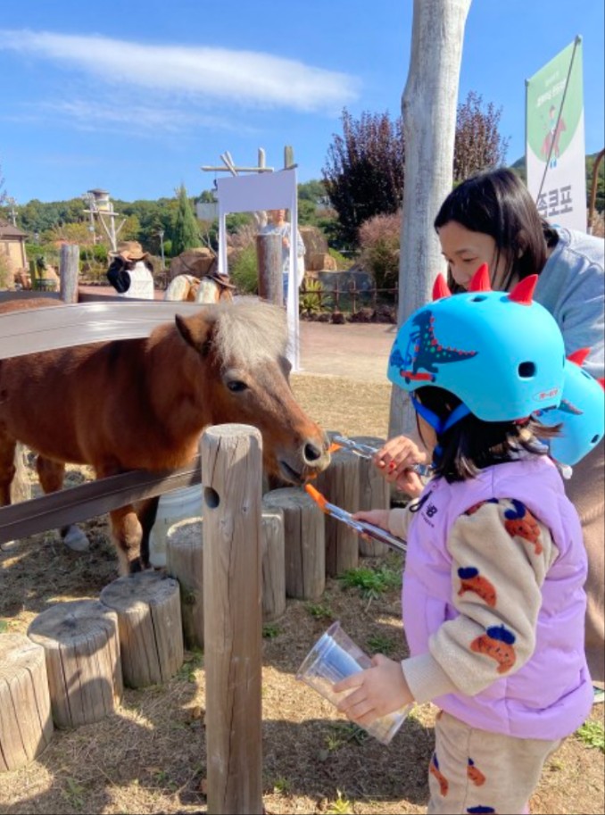 렛츠런 파크 서울 벚꽃 축제