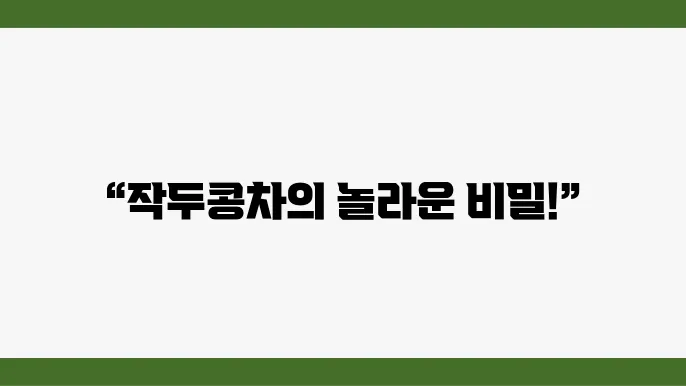 작두콩차의 효과적인 부작용은 무엇일까? 알아보세요