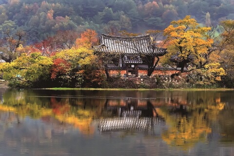 경상도 단풍 명소 TOP 7 : 2025 가을 절정 시기 & 여행 코스 총정리