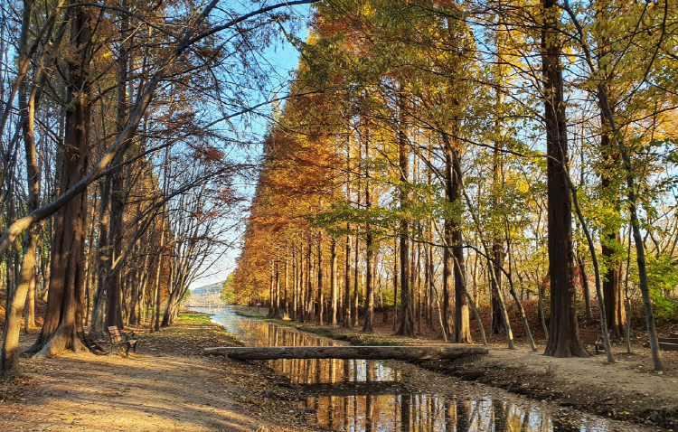 경북천년숲정원