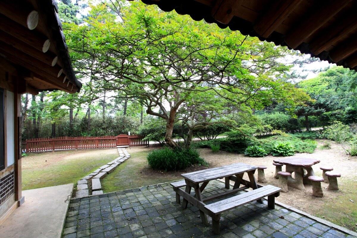 여름철 숙소 예약은 미리미리, 최저가 비교 꿀팁!