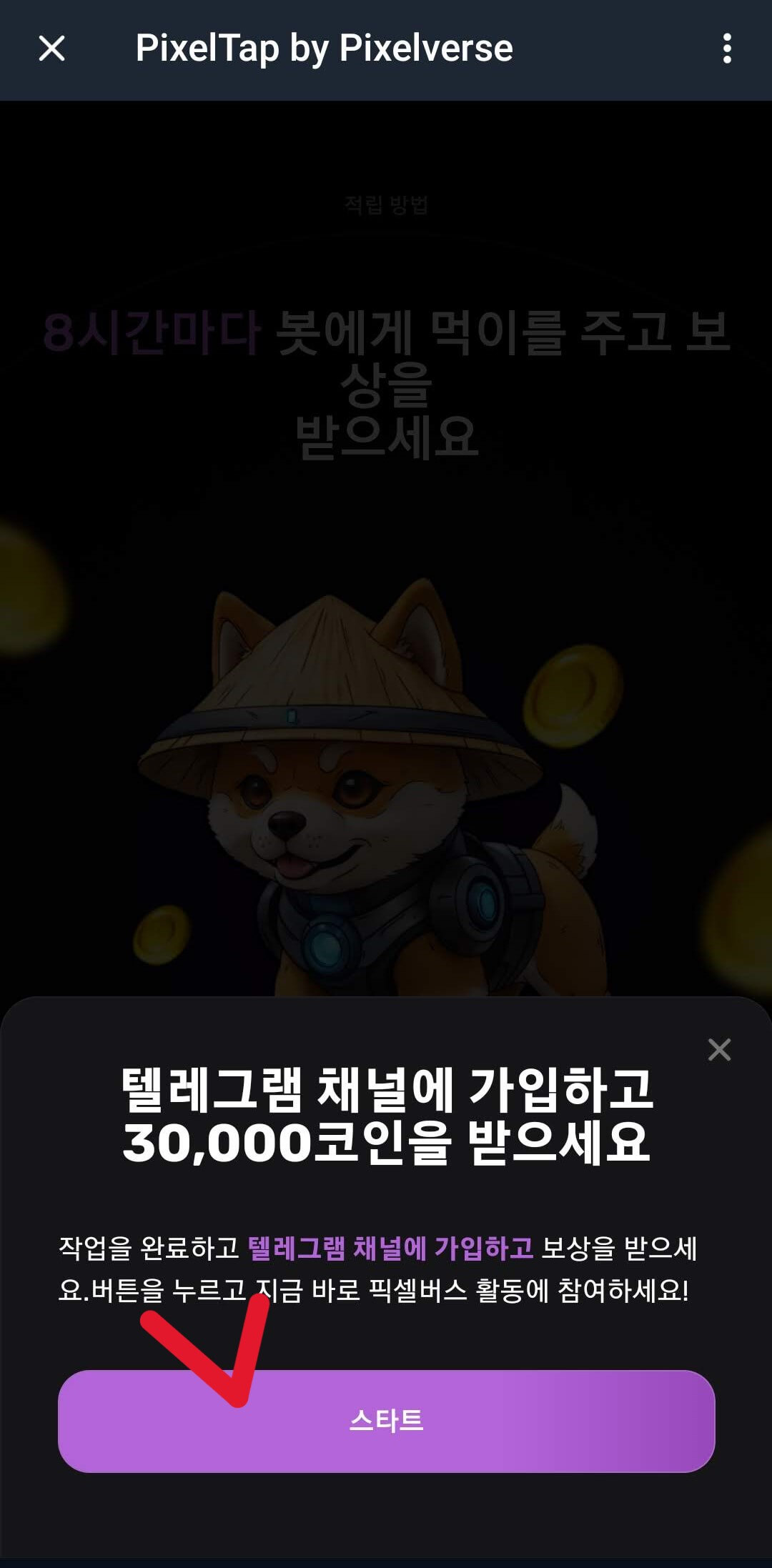 픽셀탭 (PixelTap)