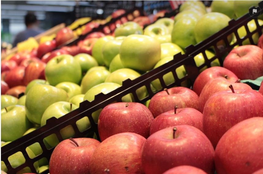 주유소민생지원금_경제_정보