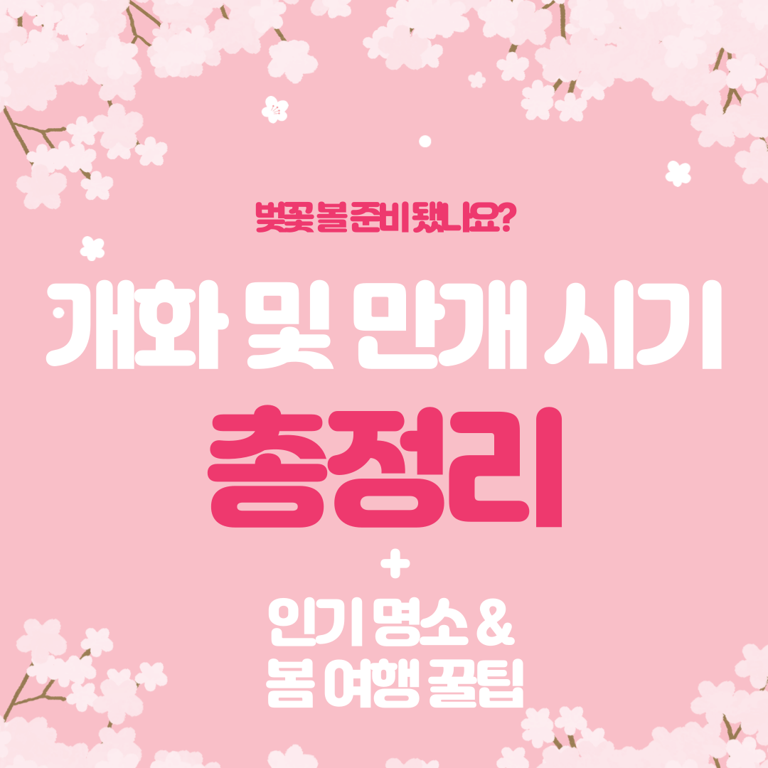 2025 벚꽃 개화 및 만개 예상 시기 총정리